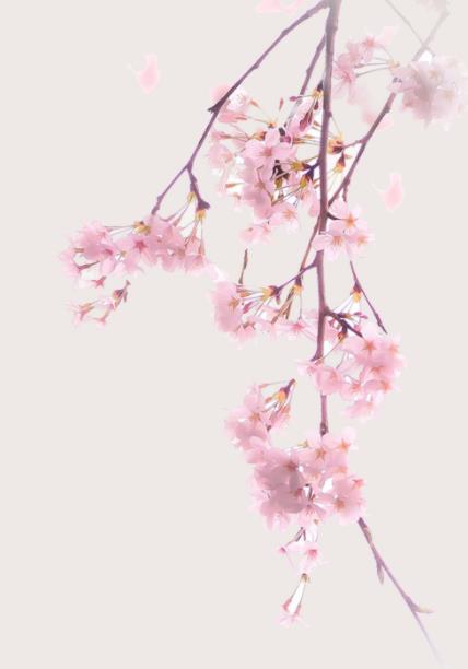 婶子与侄子的关系称呼，婶婶和侄子经常聊天正常吗