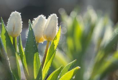 人临死前三大预兆，人死前大便会排空吗