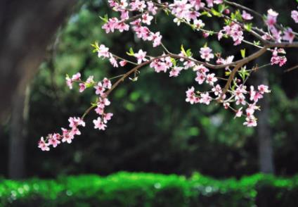 娶寡妇不娶生妻的俗语,生妻指的是什么样的女人