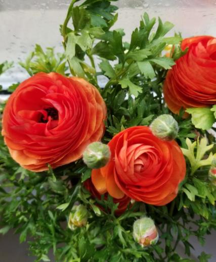 为什么情侣之间要叫爸爸,情侣之间为什么男生喜欢被叫爸爸