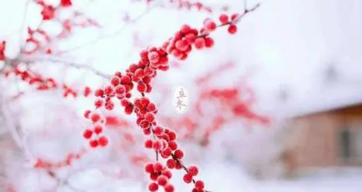 天冷了撩人的暖心话,立冬一句暖心撩人的话