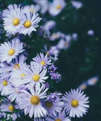 老人遗像长期放家有什么忌讳吗