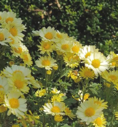 老人遗像长期放家有什么忌讳吗