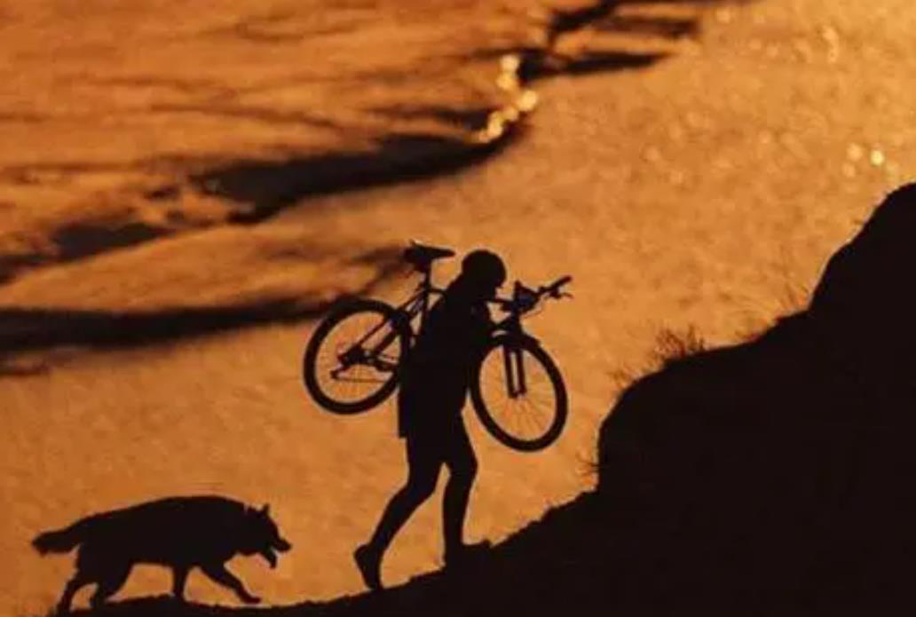 男人晚年心狠的表现,学会心狠的十个方法