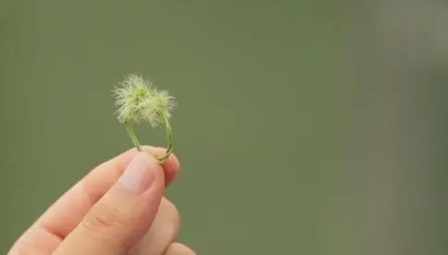 男人晚年心狠的表现,学会心狠的十个方法