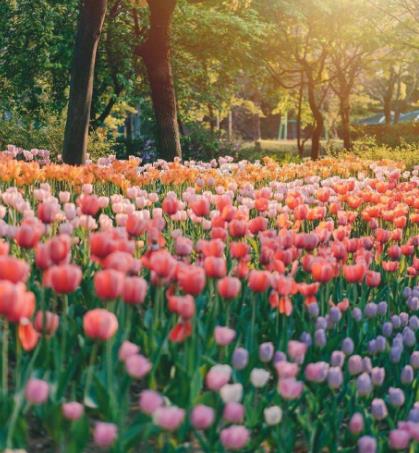 和寡妇来往禁忌，和寡妇相处有忌讳吗