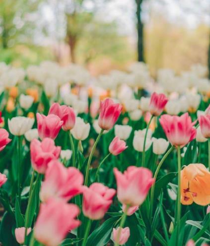 和寡妇来往禁忌，和寡妇相处有忌讳吗