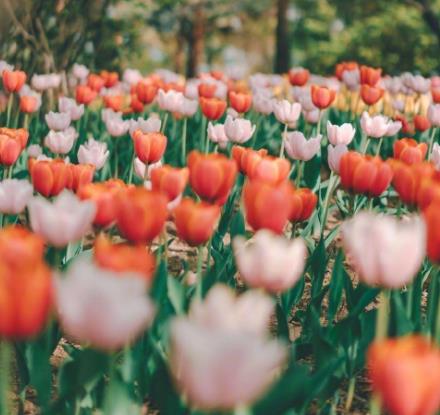 和寡妇来往禁忌，和寡妇相处有忌讳吗