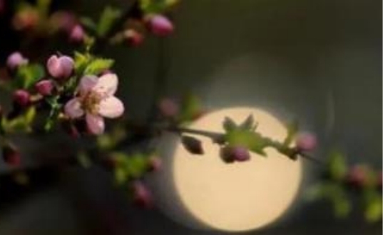 70岁夫妻分开睡的好处,人老了为什么要分开睡