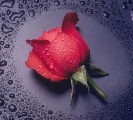 女生最尴尬的四件事