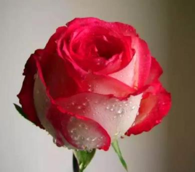 女生最尴尬的四件事