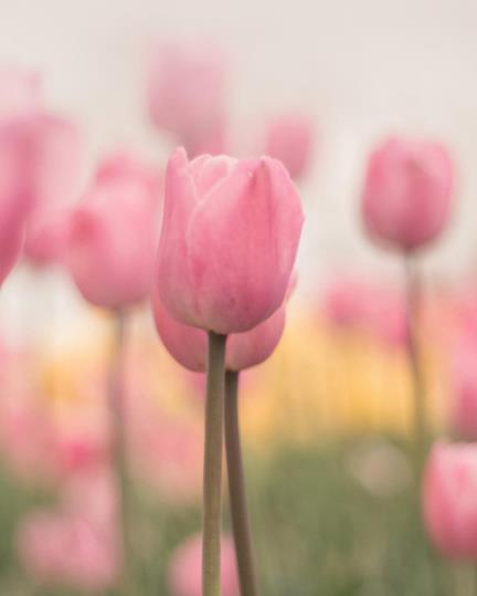 同居和二婚有什么区别