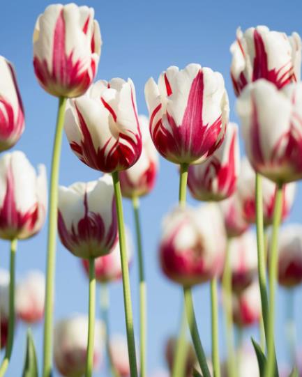 同居和二婚有什么区别