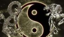 阳宅青龙方位最怕什么,什么是白虎盖青龙
