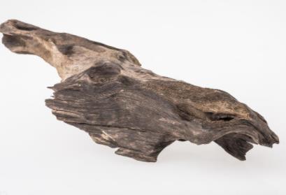 阴沉木有什么作用,阴沉木价值多少钱一斤