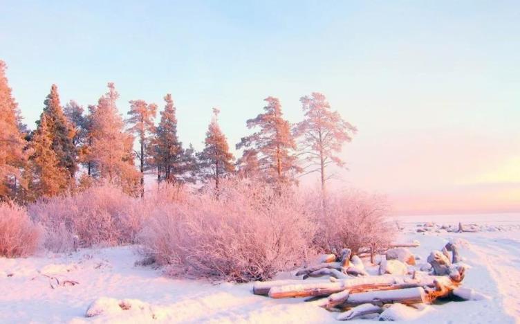 美如仙境的雪景图片