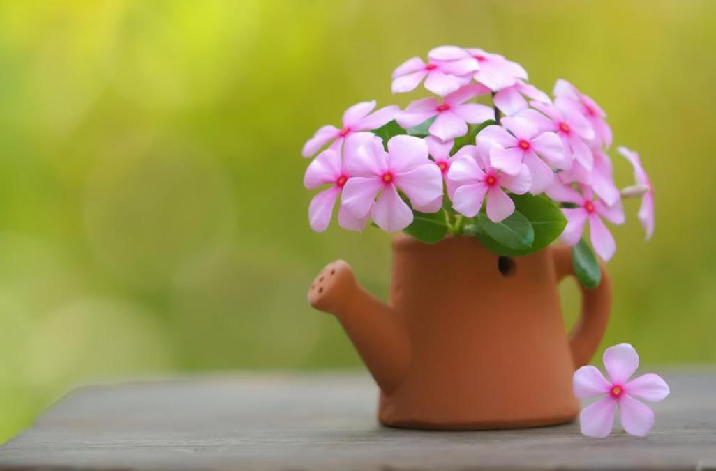 情人逃不过六个阶段