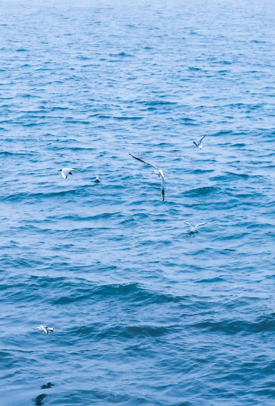 平静如水的图片,心静如水的图片