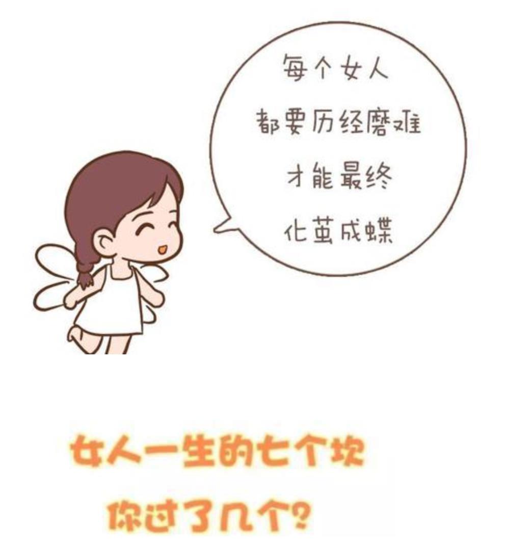 38张图纸看女人一生