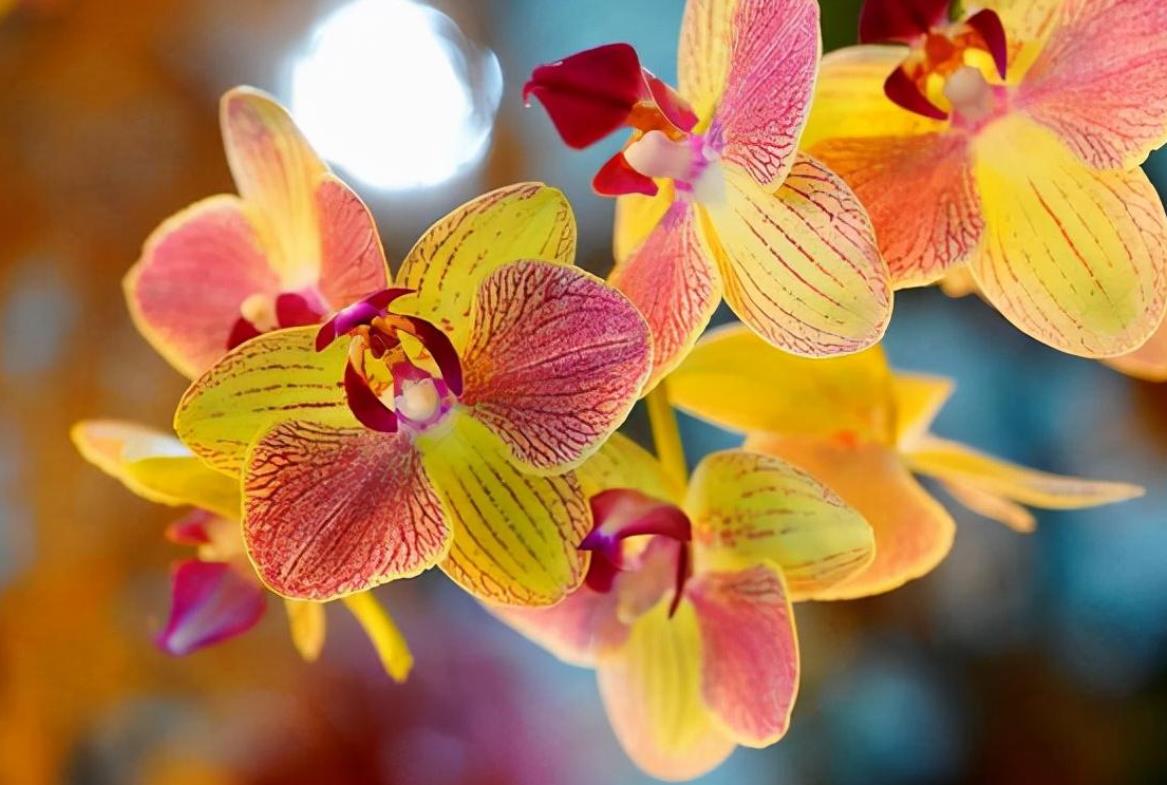 和50岁男人相处之道,50岁异性怎么相处最好