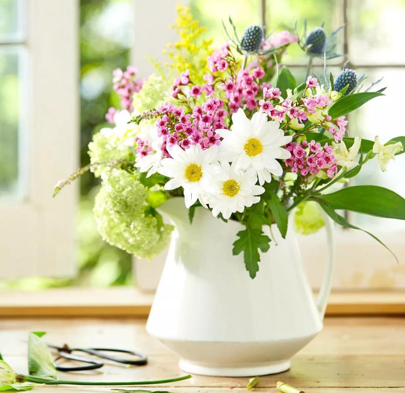 插不进话怎么办,如何克服插不进话的问题