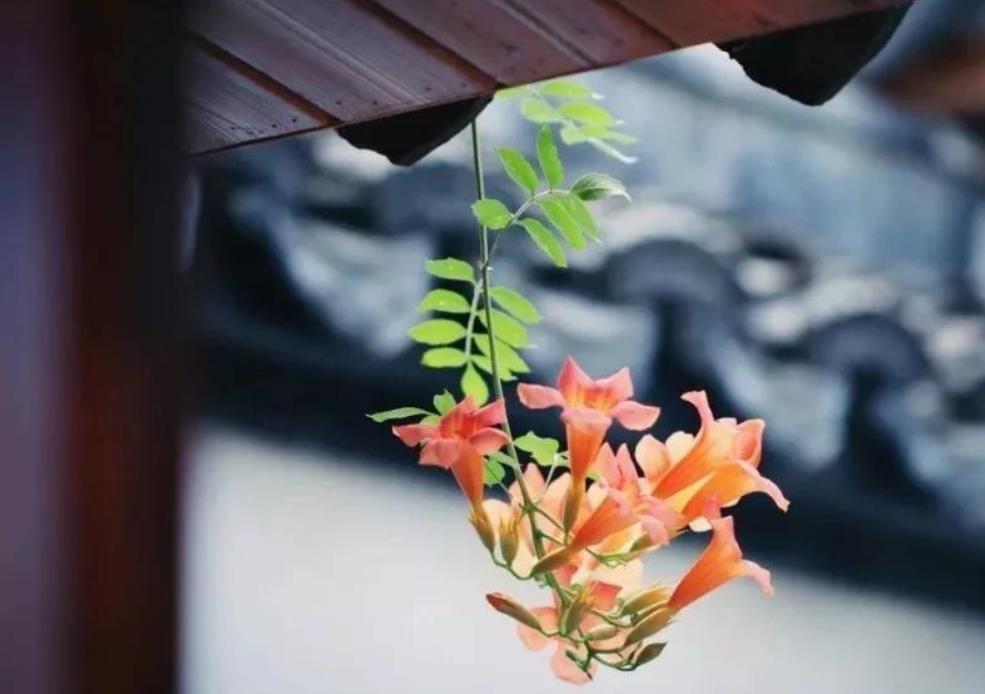 福薄之人必有四种征兆,福薄之人身上三个特征