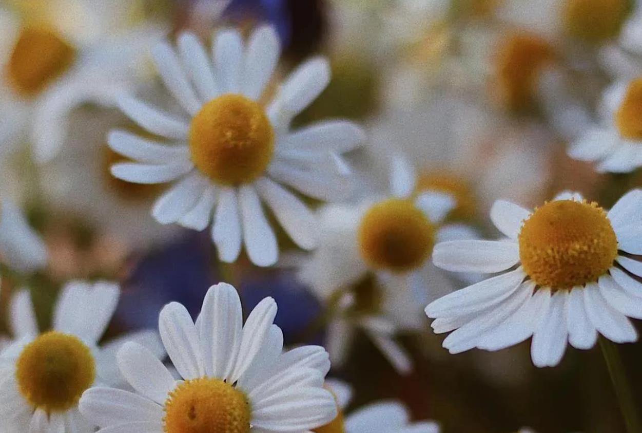 逗中年女人的笑话段子