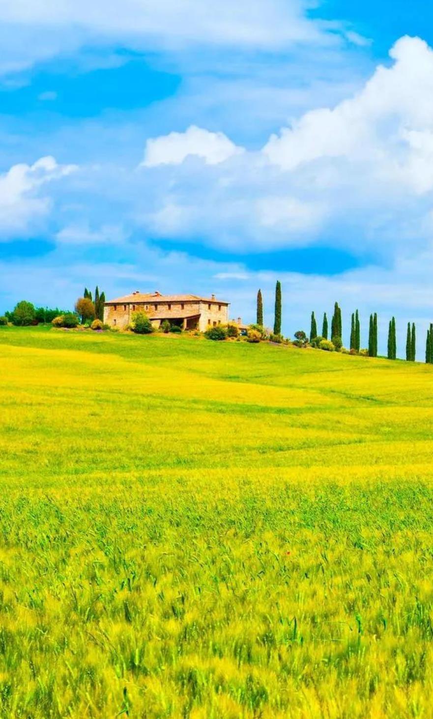 第一眼就吸引人的图片