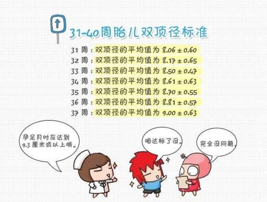 胎儿双顶径标准对照表