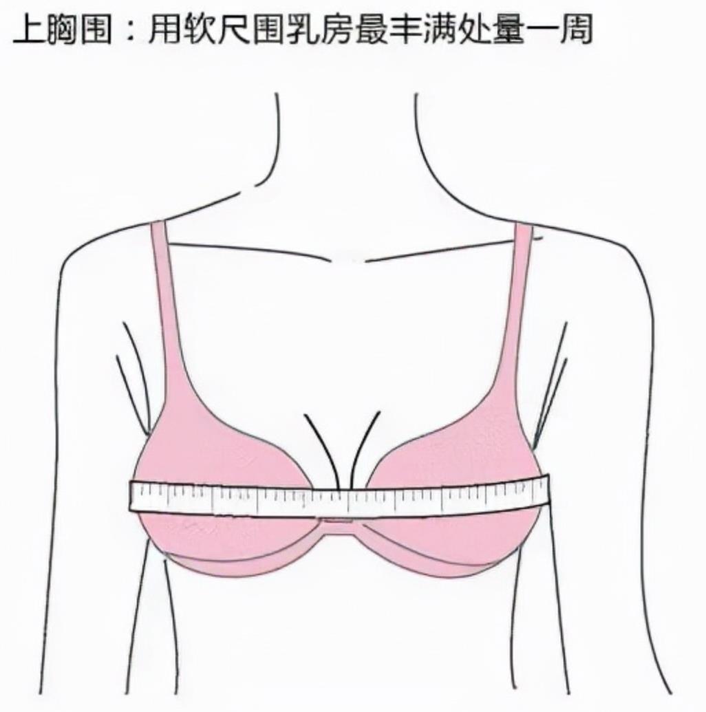 乳房丰满的人怎样选文胸