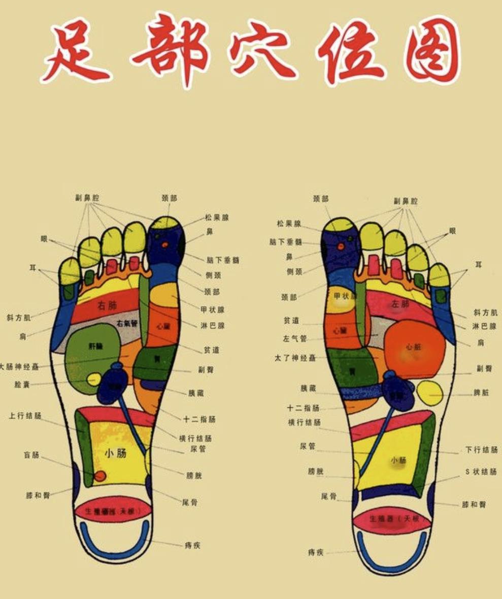 脚部穴位图