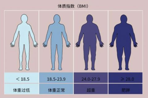 bmi变大是什么意思,如何看女人bmi