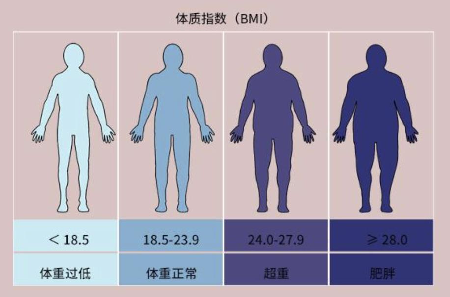 bmi变大是什么意思,如何看女人bmi
