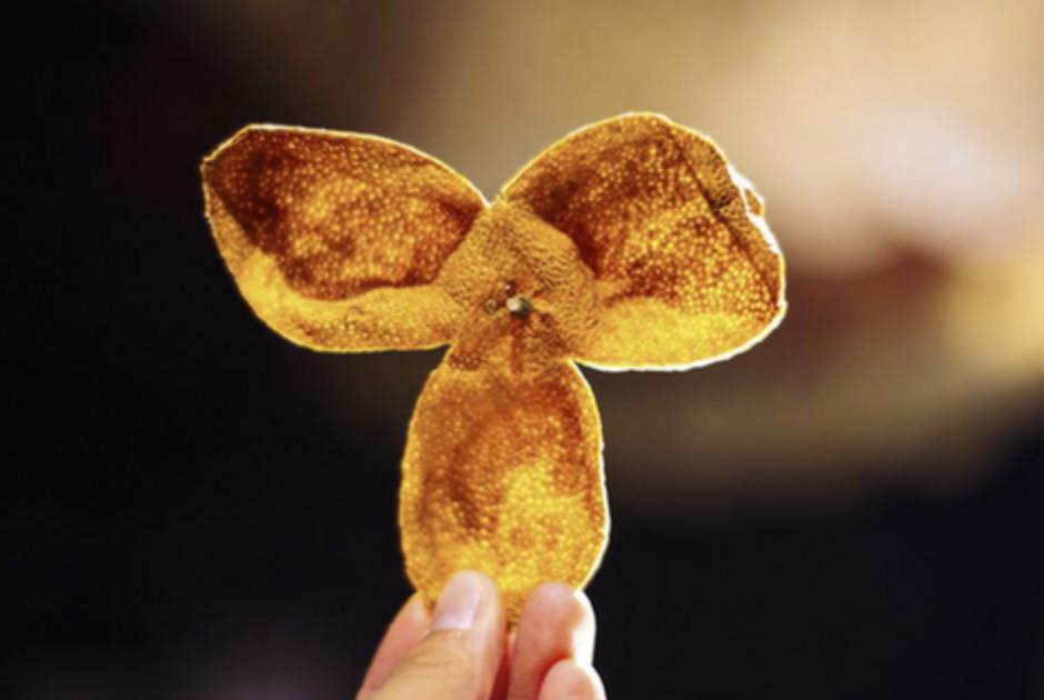 一般的桔子皮晒干可以做陈皮吗,陈皮的制作过程是怎样的