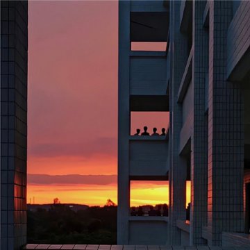大学夕阳图片图集