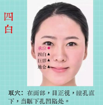 四白穴的准确位置图