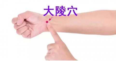大陵穴的准确位置图