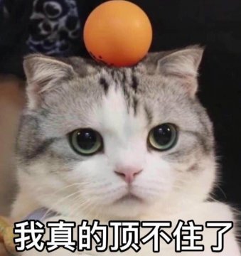 太累了我顶不住了的图片