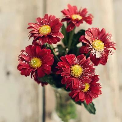 男人农历生日看一生,生日时间看你命运如何