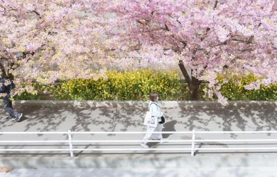 撩40左右女人的情话句子