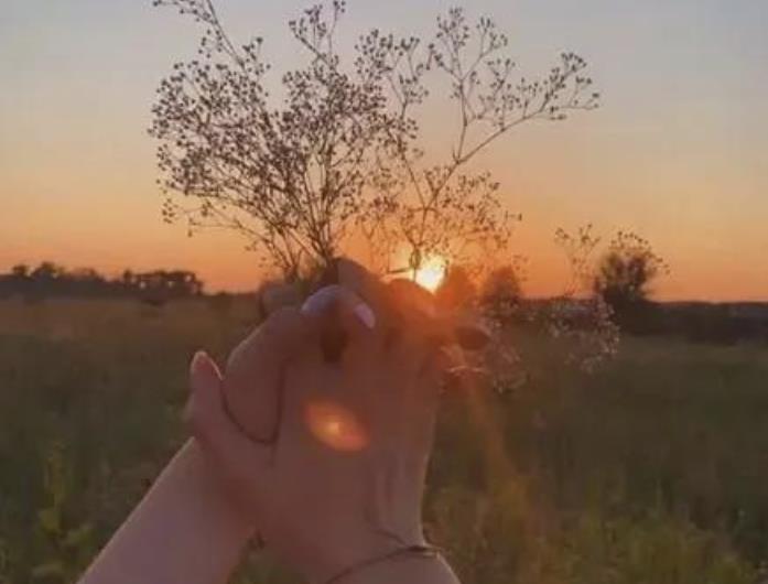 两性三十六个问题,男女感情升温问什么