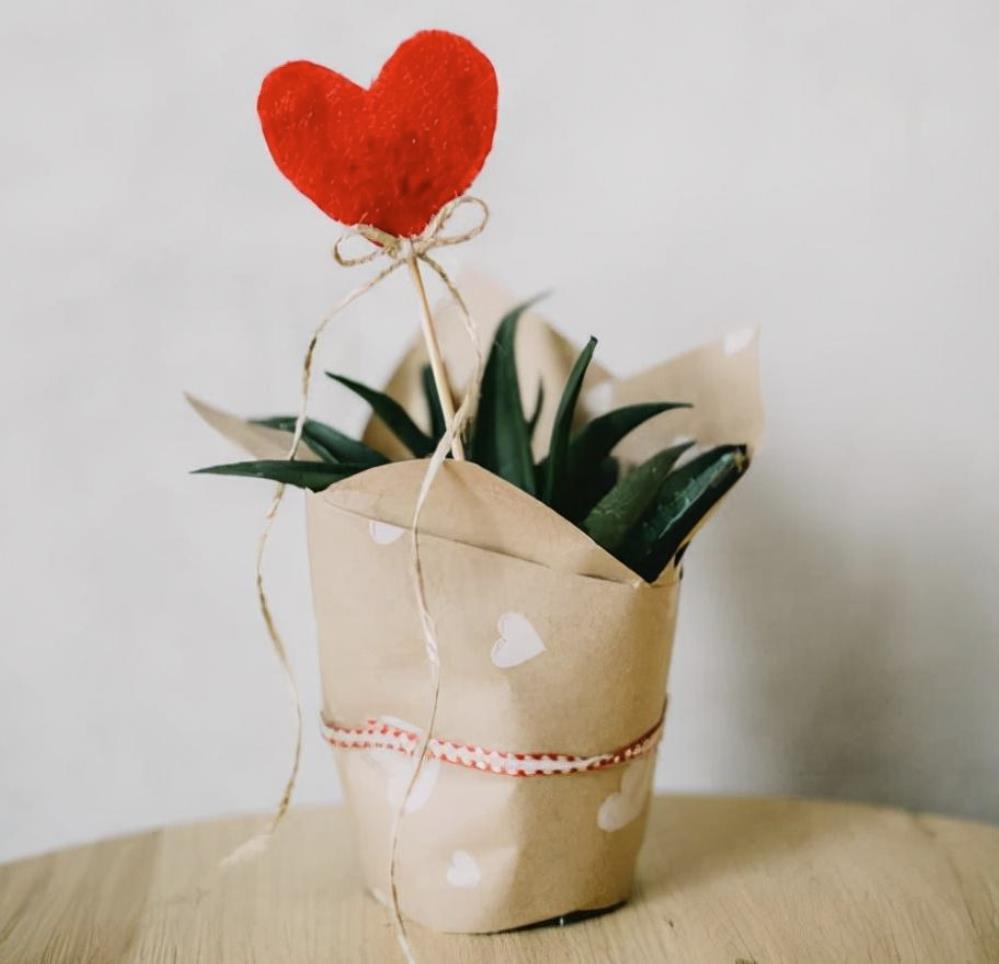 两性三十六个问题,男女感情升温问什么