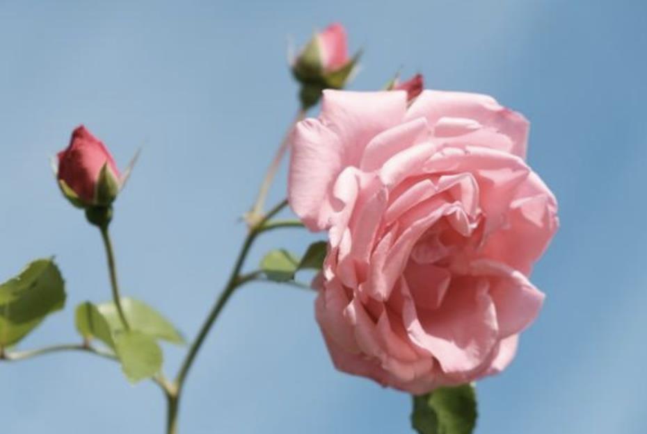 情人5年以上分手概率大吗