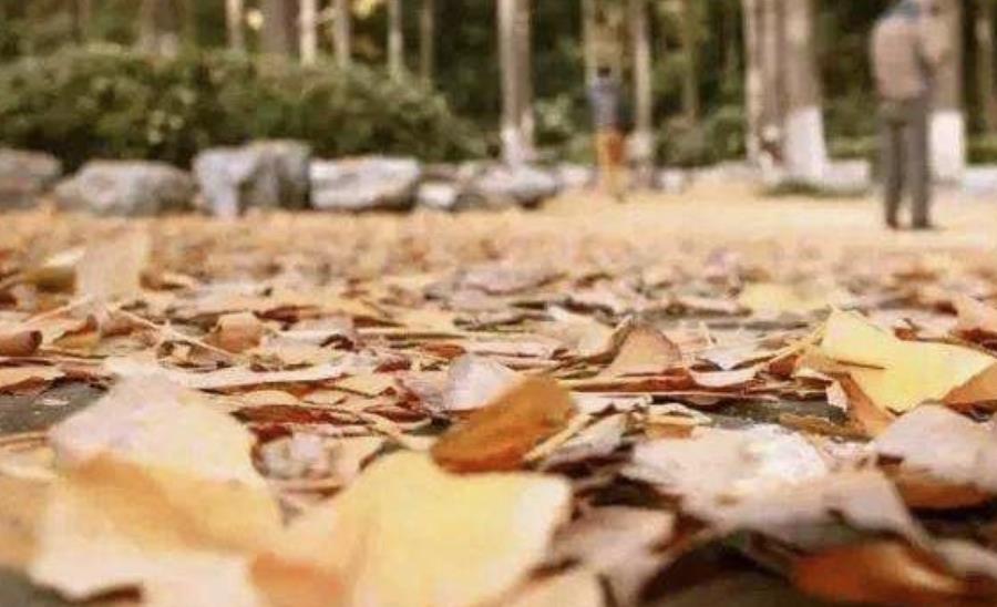 如何和七十岁老妈愉快相处