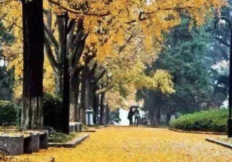 如何和七十岁老妈愉快相处