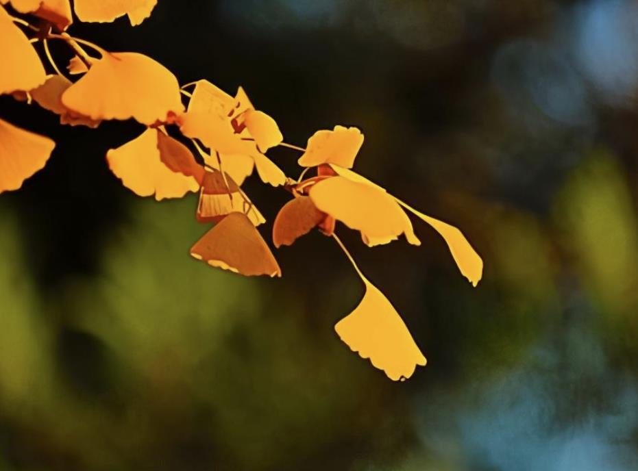 女人58岁贪欲强的表现