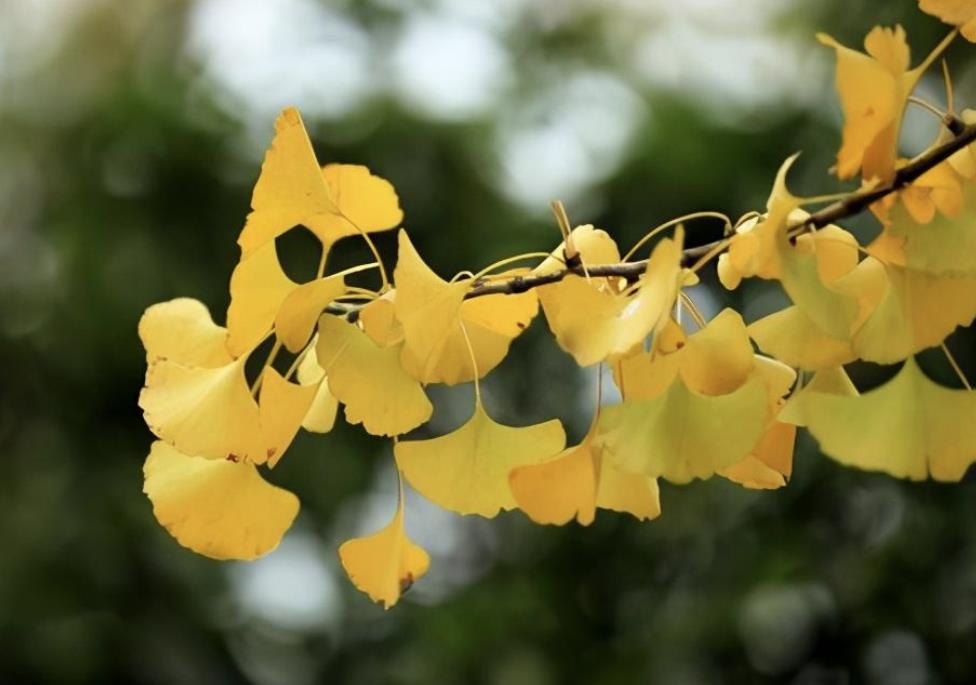 女人58岁贪欲强的表现