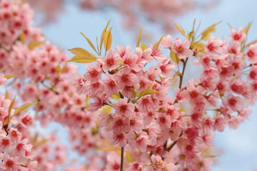 陪读妈妈与儿子发生矛盾怎么办