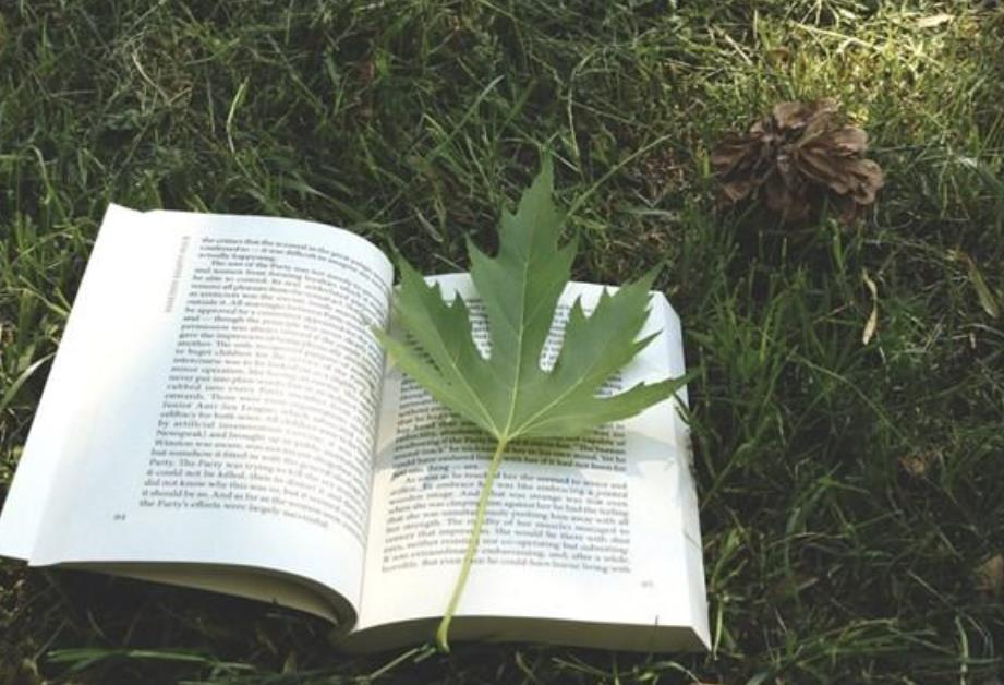 被丈母娘操控的婚姻,如何彻底发生了改变