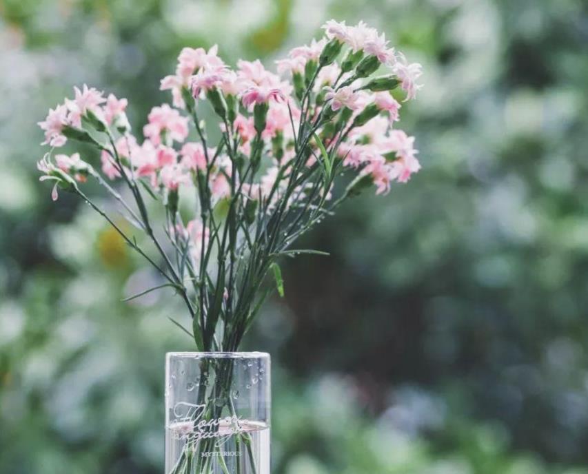 被丈母娘操控的婚姻,如何彻底发生了改变